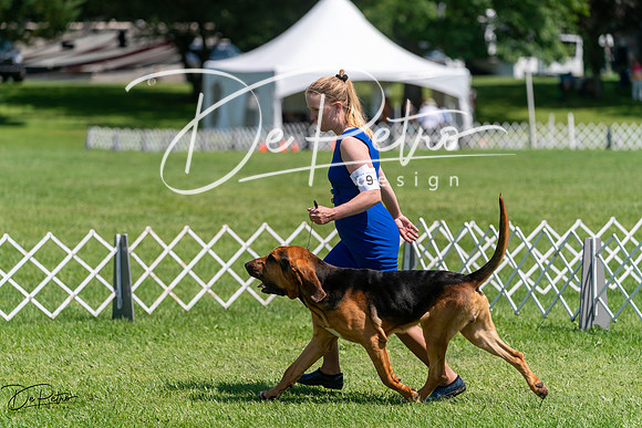 20240630-DSC01985