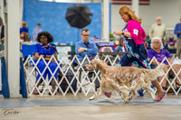 20230825-DSC03776