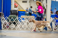 20230825-DSC03783