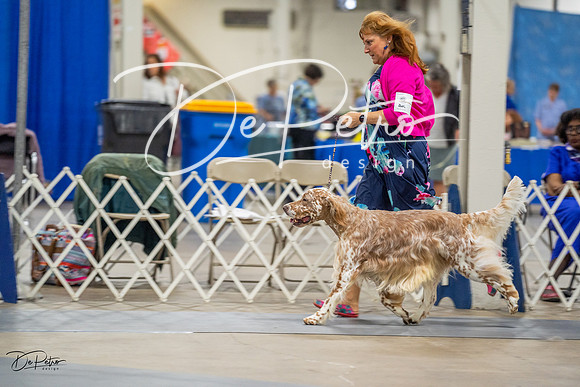 20230825-DSC03783