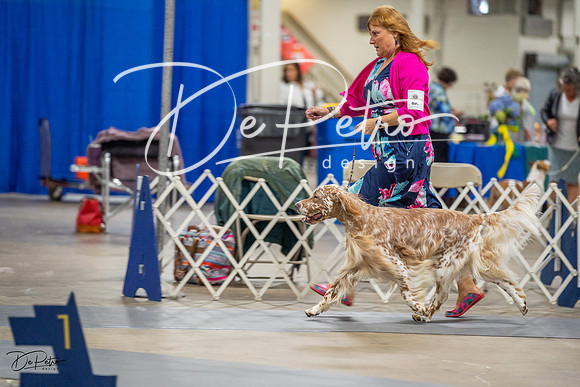 20230825-DSC03785
