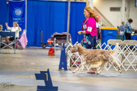 20230825-DSC03787