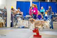 20230825-DSC03796
