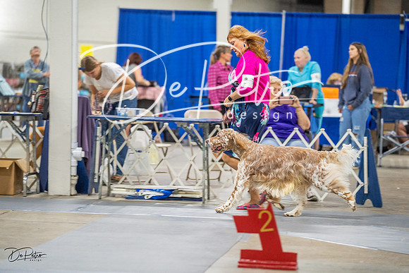 20230825-DSC03796