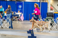 20230825-DSC03789