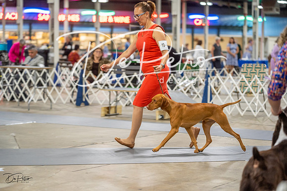 20230825-DSC03821
