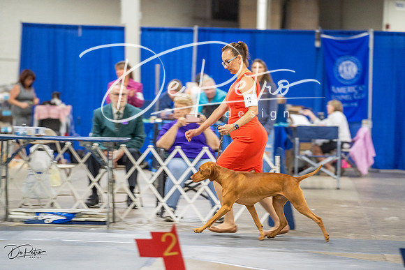 20230825-DSC03838