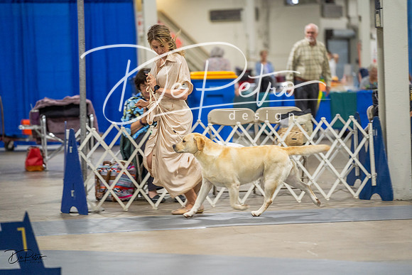 20230825-DSC03882