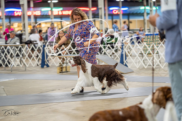 20230825-DSC03887