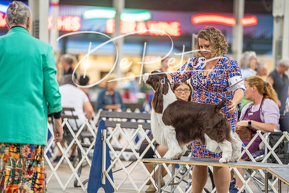 20230825-DSC03884