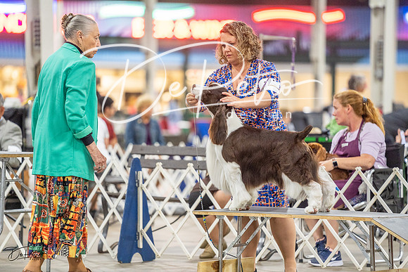 20230825-DSC03885