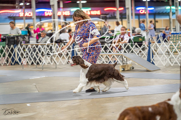 20230825-DSC03889