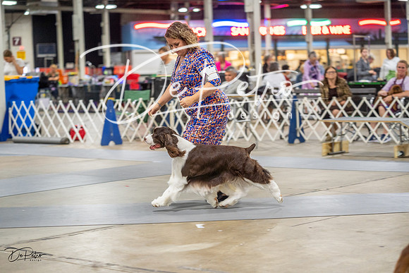 20230825-DSC03893
