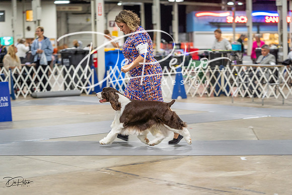 20230825-DSC03897