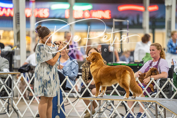 20230825-DSC03921