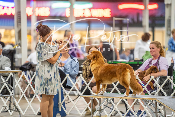 20230825-DSC03922