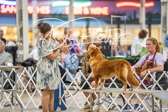 20230825-DSC03923