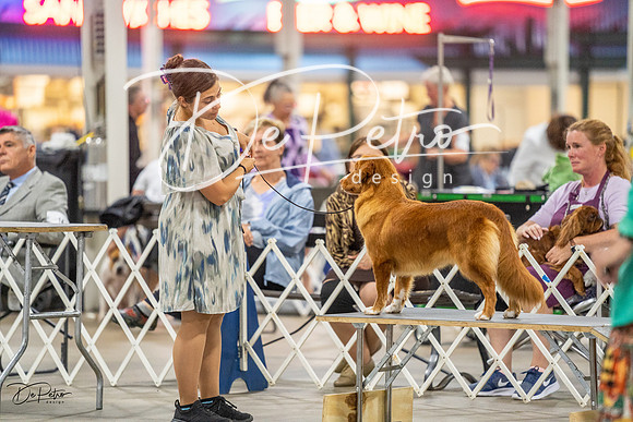 20230825-DSC03924
