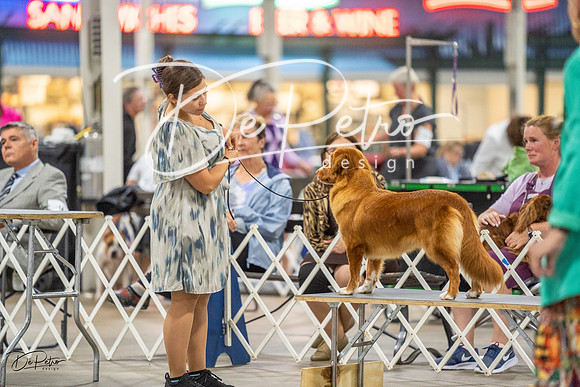 20230825-DSC03925