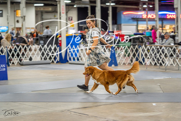 20230825-DSC03932