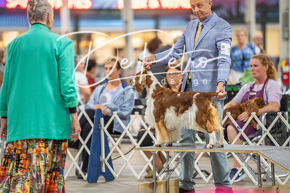 20230825-DSC03953