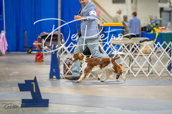 20230825-DSC04004