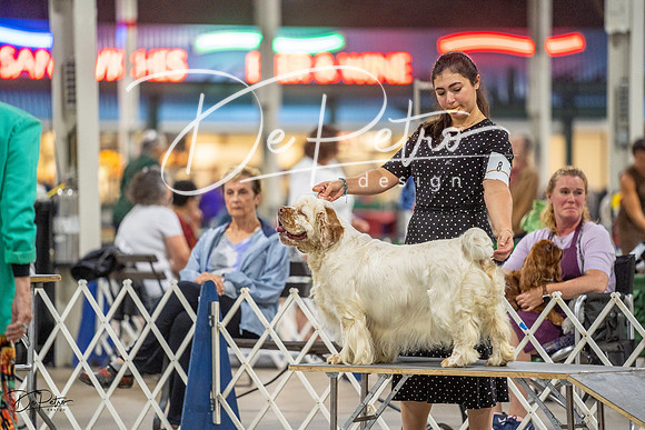 20230825-DSC04013
