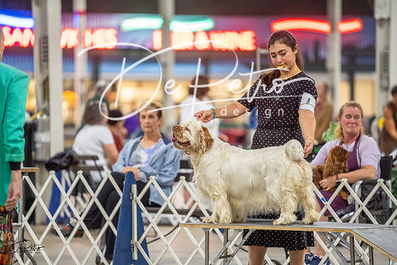 20230825-DSC04014