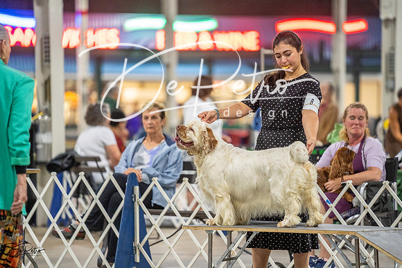 20230825-DSC04015