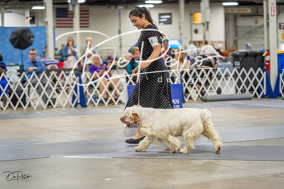 20230825-DSC04021