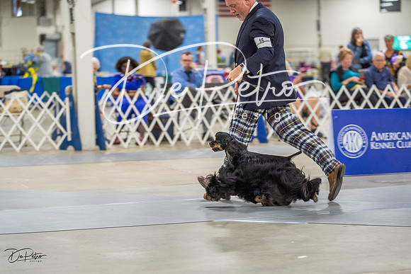 20230825-DSC04053