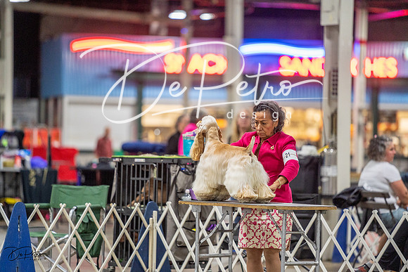 20230825-DSC04058