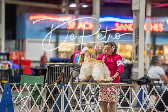 20230825-DSC04059