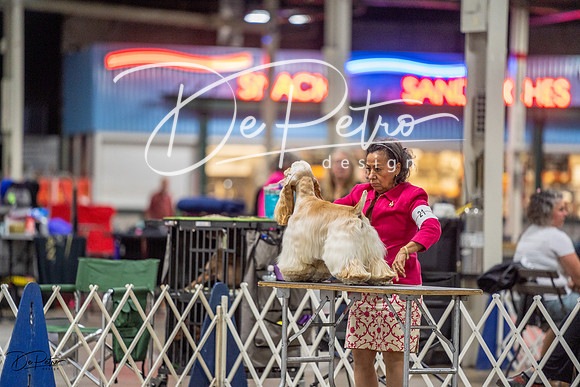 20230825-DSC04060