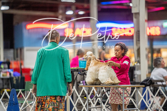 20230825-DSC04082