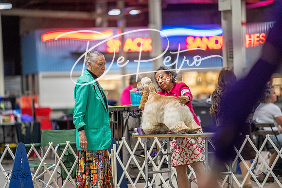20230825-DSC04086