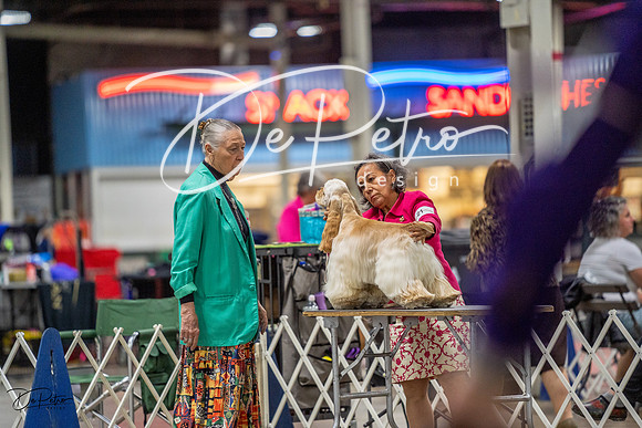 20230825-DSC04087