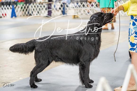 20230825-DSC04105