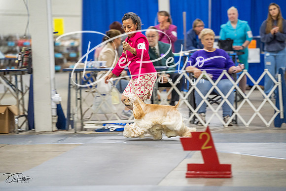 20230825-DSC04126