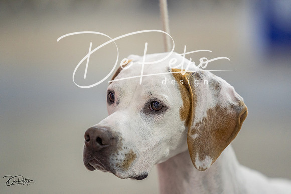 20230825-DSC04158