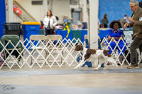 20230825-DSC03695