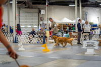 20230825-DSC03725