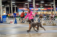 20230825-DSC03731