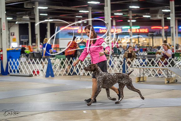 20230825-DSC03731
