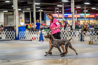 20230825-DSC03733