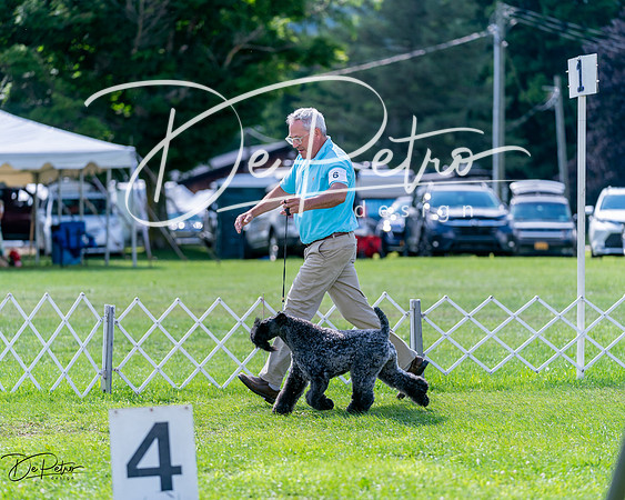 20240630-DSC03422