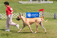 20250628-DSC07957