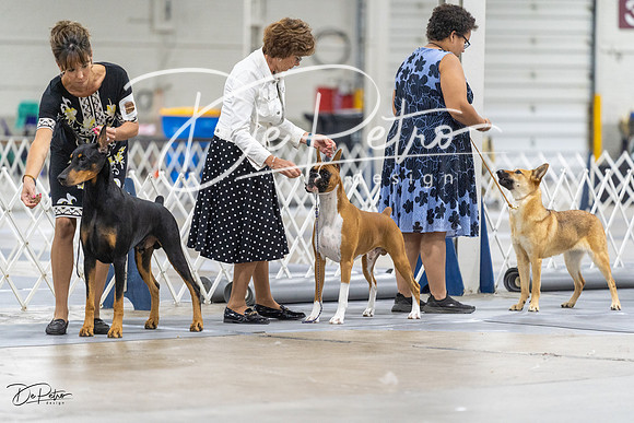 20230826-DSC08736