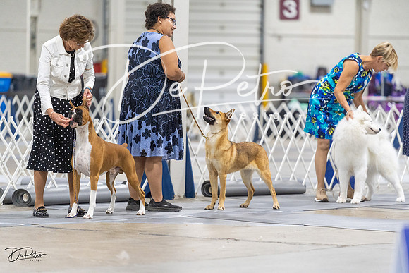 20230826-DSC08744