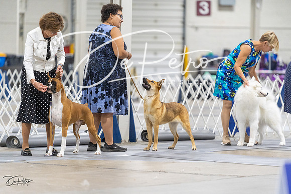 20230826-DSC08743